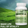 Moringa 6000Mg - Support Immune System, Energy, Metabolism, Antioxidants - 120 Capsules