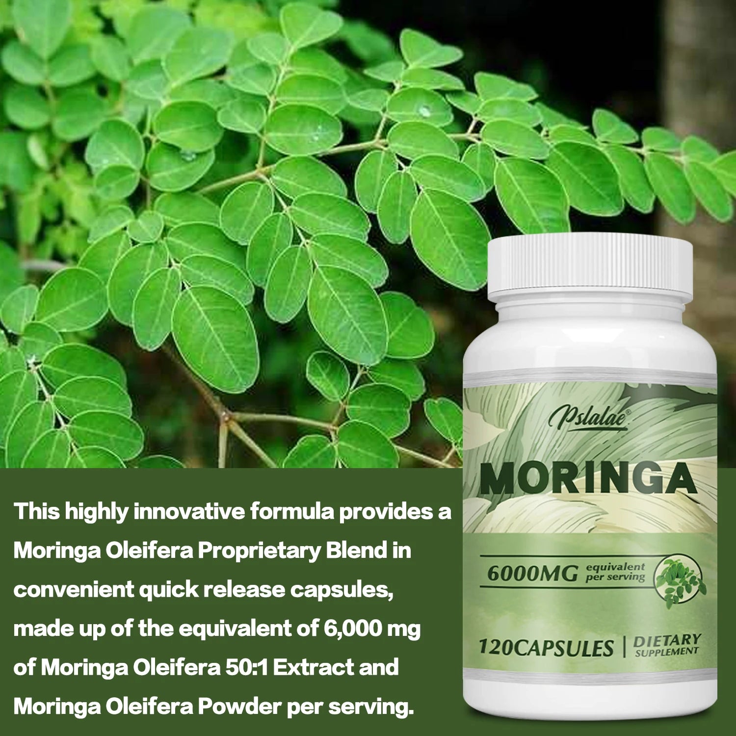 Moringa 6000Mg - Support Immune System, Energy, Metabolism, Antioxidants - 120 Capsules