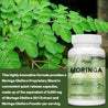 Moringa 6000Mg - Support Immune System, Energy, Metabolism, Antioxidants - 120 Capsules